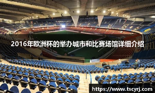 星空xingkong官方网站